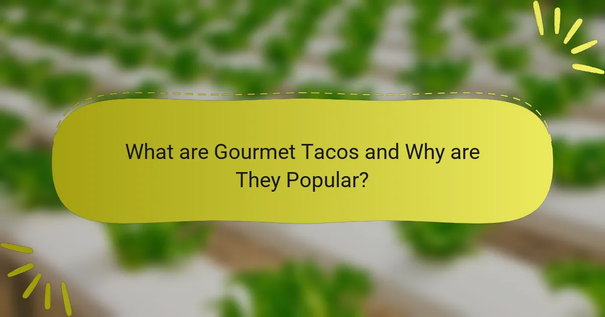 What are Gourmet Tacos and Why are They Popular?