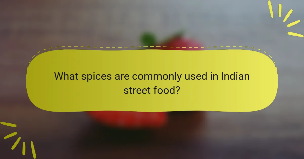 What spices are commonly used in Indian street food?